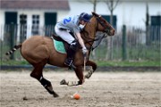 Polo Apremont 19-03-24 105   Photos ACG 2018