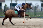 Polo Apremont 19-03-24 106   Photos ACG 2018