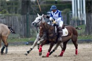 Polo Apremont 19-03-24 122   Photos ACG 2018
