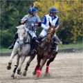 Polo Apremont 19-03-24 126   Photos ACG 2018