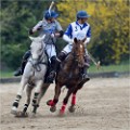 Polo Apremont 19-03-24 127   Photos ACG 2018