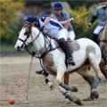 Polo Apremont 19-03-24 130   Photos ACG 2018