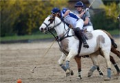 Polo Apremont 19-03-24 131   Photos ACG 2018