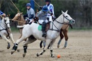 Polo Apremont 19-03-24 135   Photos ACG 2018