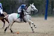 Polo Apremont 19-03-24 136   Photos ACG 2018