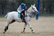 Polo Apremont 19-03-24 137   Photos ACG 2018