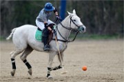 Polo Apremont 19-03-24 138   Photos ACG 2018