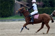Polo Apremont 19-03-24 144   Photos ACG 2018