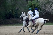 Polo Apremont 19-03-24 145   Photos ACG 2018