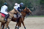 Polo Apremont 19-03-24 181   Photos ACG 2018