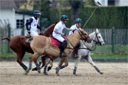 Polo Apremont 19-03-24 190   Photos ACG 2018