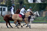 Polo Apremont 19-03-24 191   Photos ACG 2018