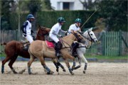 Polo Apremont 19-03-24 192   Photos ACG 2018