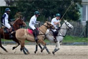 Polo Apremont 19-03-24 194   Photos ACG 2018