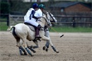 Polo Apremont 19-03-24 211   Photos ACG 2018