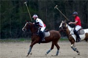 Polo Apremont 19-03-24 223   Photos ACG 2018
