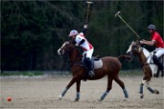 Polo Apremont 19-03-24 225   Photos ACG 2018