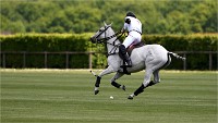 2019-05-12 Polo Apremont