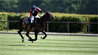 Polo Apremont 19-05-12 025   Photos ACG 2018