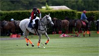 Polo Apremont 19-05-12 058   Photos ACG 2018
