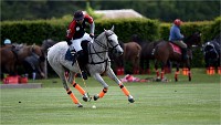 Polo Apremont 19-05-12 059   Photos ACG 2018