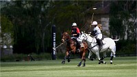 Polo Apremont 19-05-12 117   Photos ACG 2018