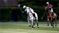 Polo Apremont 19-05-12 130   Photos ACG 2018