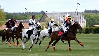 Polo Apremont 19-05-12 165   Photos ACG 2018