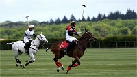 Polo Apremont 19-05-12 167   Photos ACG 2018