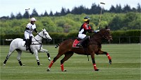 Polo Apremont 19-05-12 169   Photos ACG 2018
