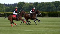 Polo Apremont 19-05-12 171   Photos ACG 2018