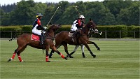 Polo Apremont 19-05-12 172   Photos ACG 2018