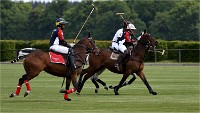 Polo Apremont 19-05-12 173   Photos ACG 2018