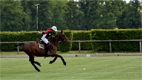Polo Apremont 19-05-12 179   Photos ACG 2018