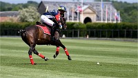 Polo Apremont 19-05-12 407   Photos ACG 2018