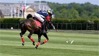 Polo Apremont 19-05-12 409   Photos ACG 2018
