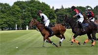 Polo Apremont 19-05-12 465   Photos ACG 2018