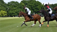 Polo Apremont 19-05-12 466   Photos ACG 2018