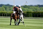 Polo Apremont 19-05-12 477   Photos ACG 2018