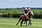 Polo Apremont 19-05-12 480   Photos ACG 2018