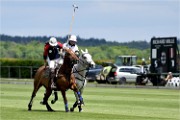 Polo Apremont 19-05-12 484   Photos ACG 2018
