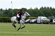 Polo Apremont 19-05-12 500   Photos ACG 2018