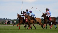 Polo Apremont 19-05-12 565   Photos ACG 2018
