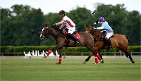 Polo Apremont 19-05-12 598   Photos ACG 2018