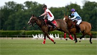 Polo Apremont 19-05-12 599   Photos ACG 2018