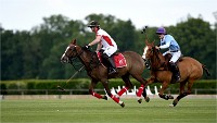 Polo Apremont 19-05-12 600   Photos ACG 2018