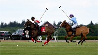 Polo Apremont 19-05-12 606   Photos ACG 2018
