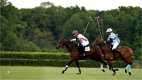 Polo Apremont 19-05-12 611   Photos ACG 2018