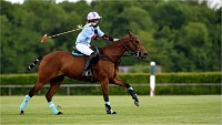 Polo Apremont 19-05-12 618   Photos ACG 2018
