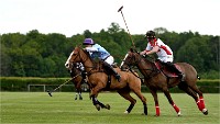 Polo Apremont 19-05-12 625   Photos ACG 2018